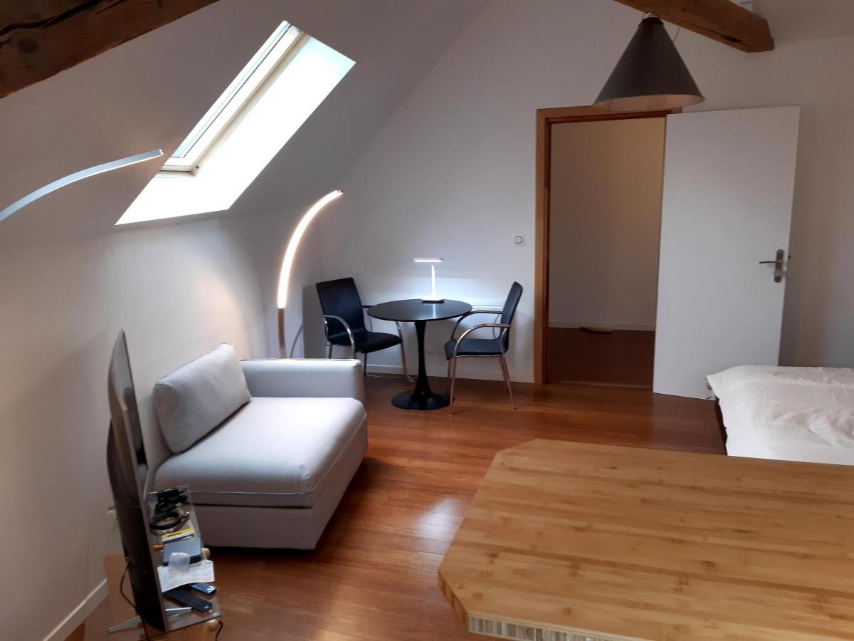 Hotel Loft Studio Avec Charme Et Authenticite Altkirch Zewnętrze zdjęcie